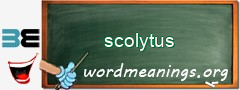 WordMeaning blackboard for scolytus